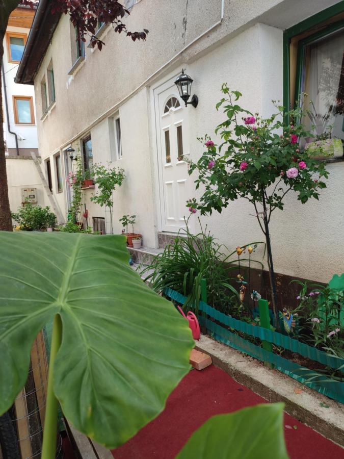 Apartment Gate *